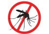 Alergia a las picaduras de mosquitos en niños: ¿Cómo identificarla?