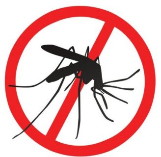 Alergia a las picaduras de mosquitos en niños: ¿Cómo identificarla?