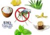 Alergia por picadura de insectos: ¡Ten mucho cuidado!