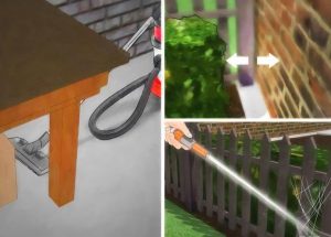 araña violinista de Aguascalientes, conoce como identificarla y que hacer