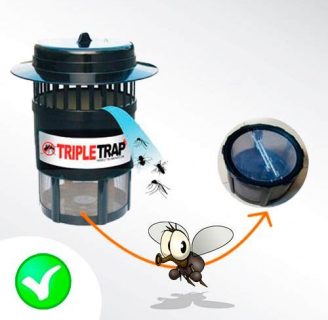 Trampas para moscas: Aprende cómo hacerlas y deshazte de ellas.