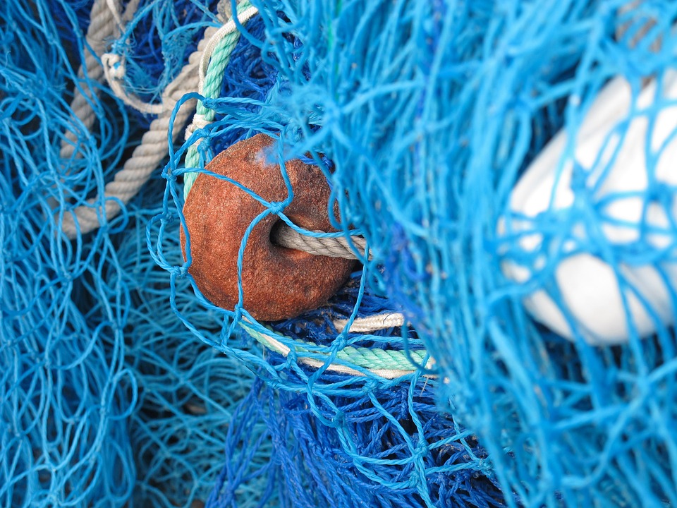 arañas pequeñas