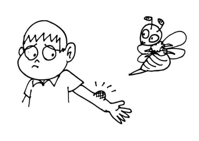qué hacer cuando te pica una abeja